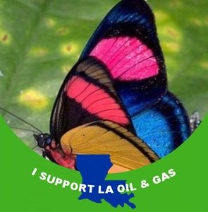 Meet your Posher, Lydia